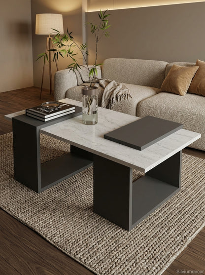 Modern Coffee Table with Storage