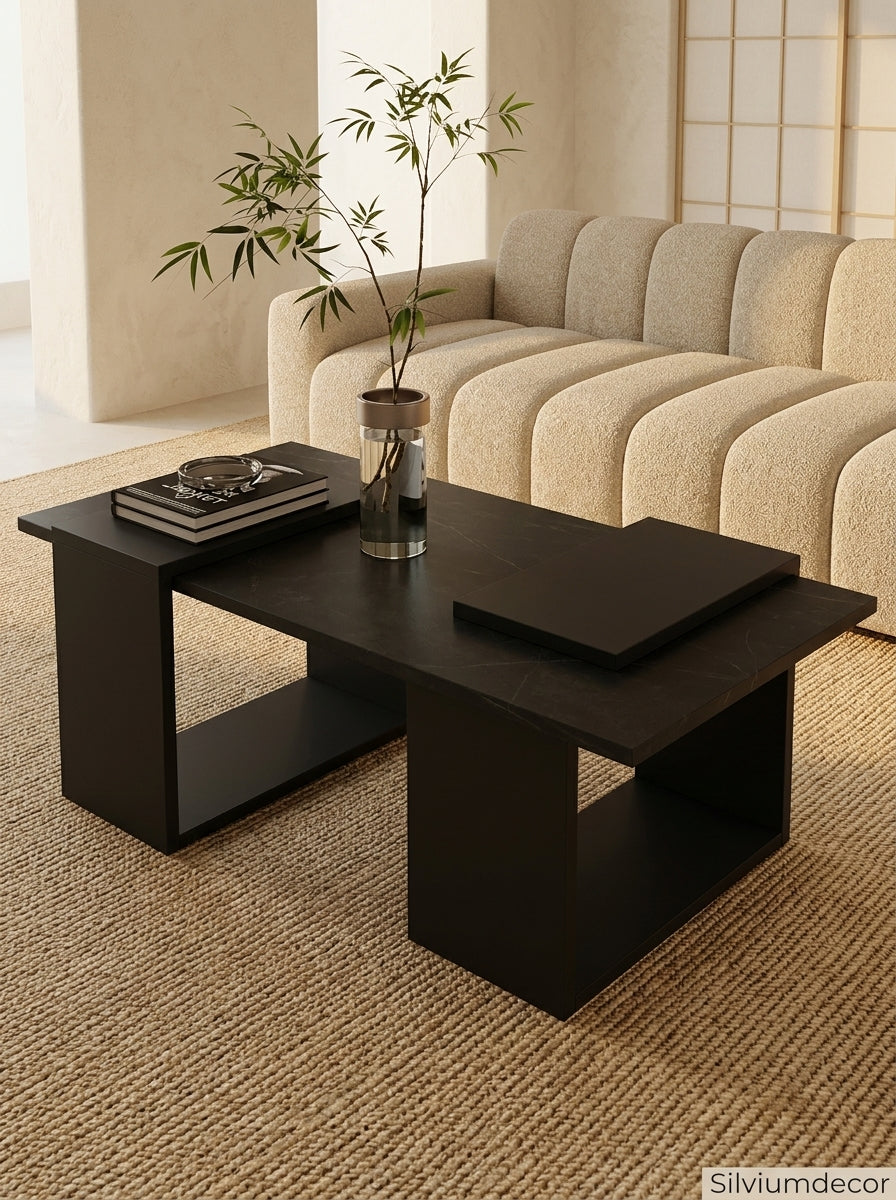 Modern Coffee Table with Storage