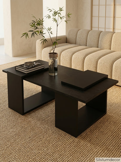 Modern Coffee Table with Storage