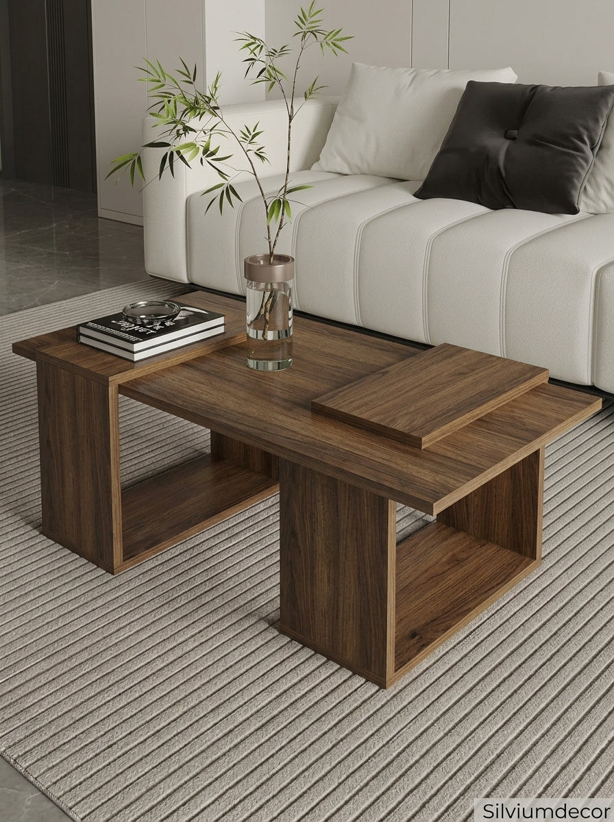 Modern Coffee Table with Storage