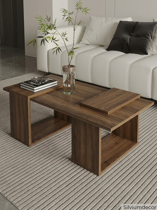 Modern Coffee Table with Storage
