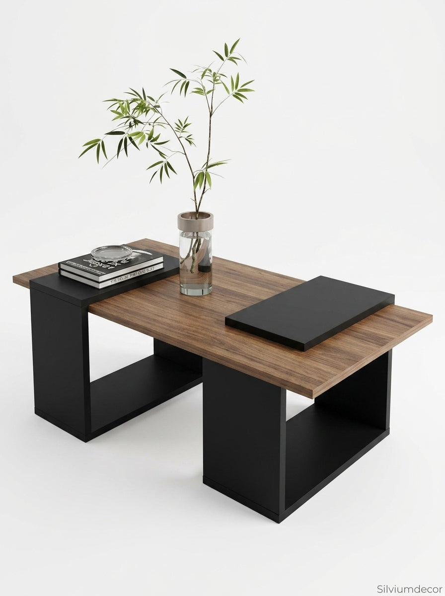 Modern Coffee Table with Storage